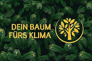 Strom für München: Ökostromanbieter mit Baumpflanzgarantie