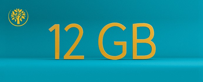 12 GB Datenvolumen inklusive