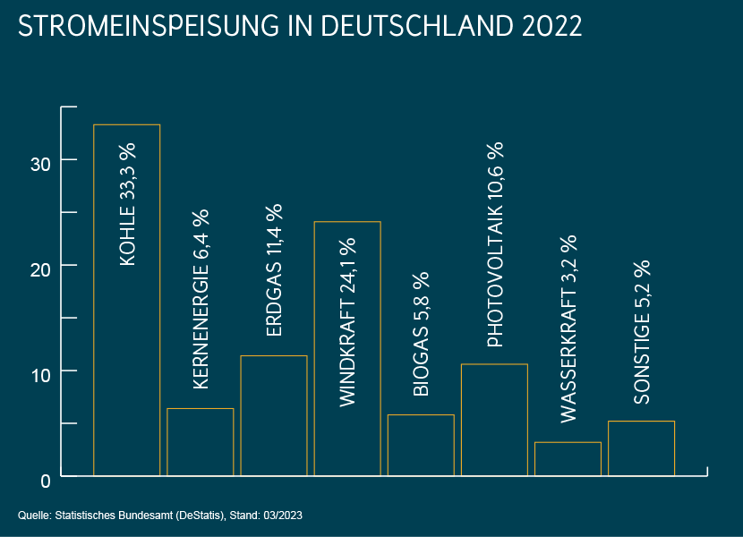 Stromversorgung in Deutschland: Stromeinspeisung 2022