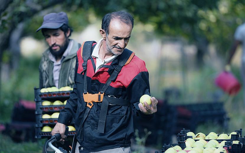 nachhaltige Geldanlage Landwirtschaft