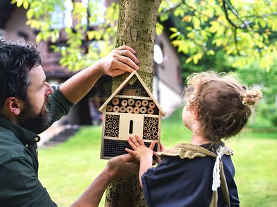 Bild zeigt Mann mit Kind, die gemeinsam ein Insektenhotel an einem Baum aufhängen – Thema: warum Insekten so wichtig sind.