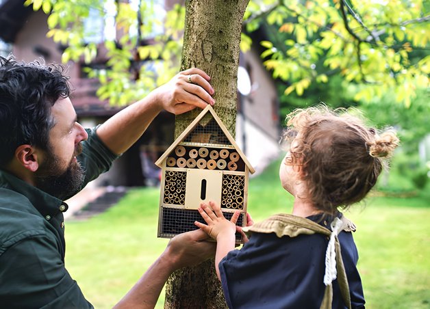 Bild zeigt Mann mit Kind, die gemeinsam ein Insektenhotel an einem Baum aufhängen – Thema: warum Insekten so wichtig sind.