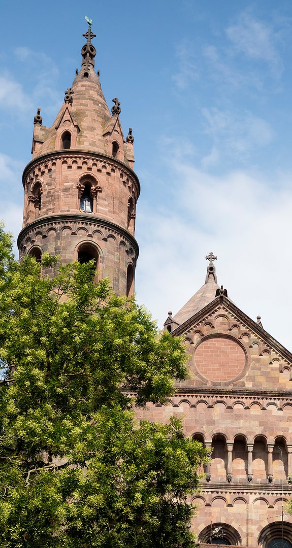 Dom in Worms umgeben von Bäumen. Symbol für günstige und klimafreundliche Gastarife in der Region.