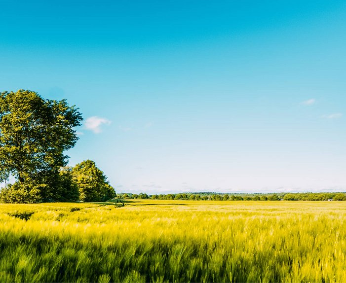 Bild mit schöner Landschaft, Link: Tarif berechnen