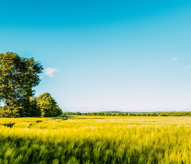 Bild mit schöner Landschaft, Link: Tarif berechnen