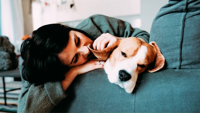 Bild zeigt eine Frau, die mit ihrem Hund auf dem Sofa kuschelt