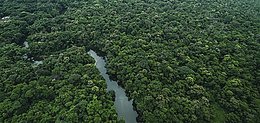 Ökogas-Vergleich – klimafreundliche Tarife finden