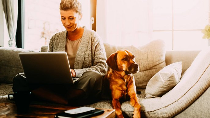 Bild zeigt Frau, die auf der Couch mit ihrem Hund sitzt und auf einen Laptop schaut – Thema: Gasratgeber.