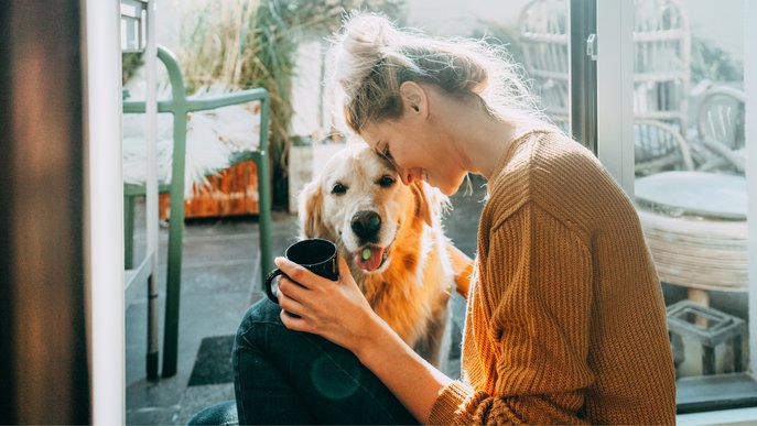 Bild zeigt eine Frau mit ihrem Hund vor dem offenen Fenster, Symbolbild zum Thema „Richtig lüften“.
