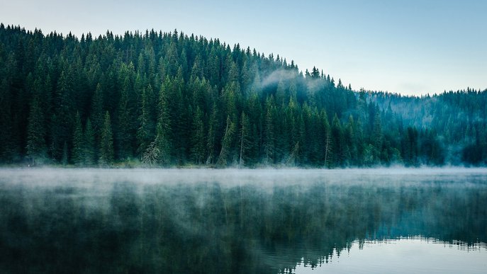 Dichter Tannenwald spiegelt sich im nebligen See, klare Luft und blauer Himmel. Symbolisiert Ruhe und Naturverbundenheit.