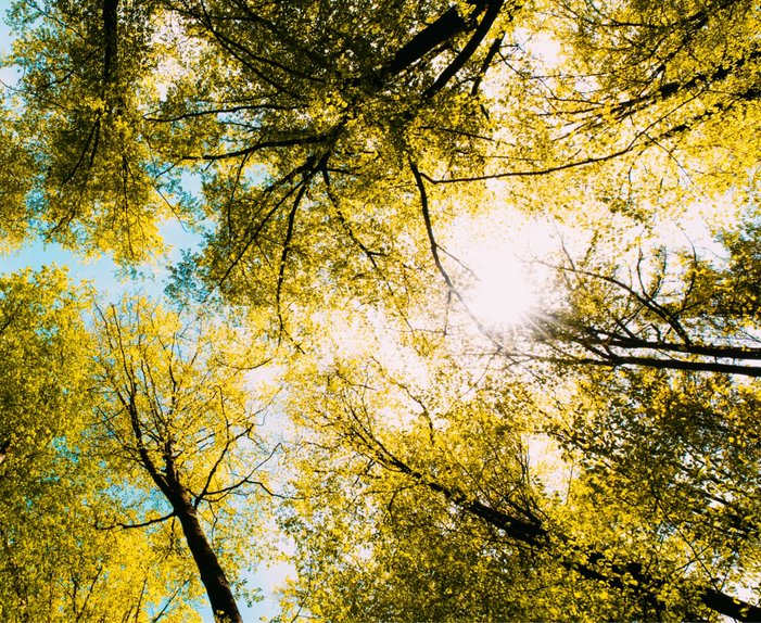 Bild mit schöner Landschaft, Link: Tarif berechnen