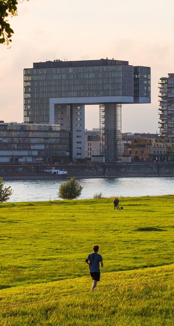 Moderne Architektur am Flussufer mit drei Kranhausgebäuden, im Vordergrund grüne Wiese. Steht für günstigen Ökostrom von ENTEGA in Köln.