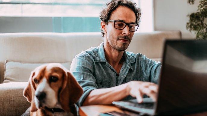 Bild zeigt einen Mann mit seinem Hund vor einem Notebook, Symbolbild für das Recherchieren von Fördermitteln für Wärmepumpen