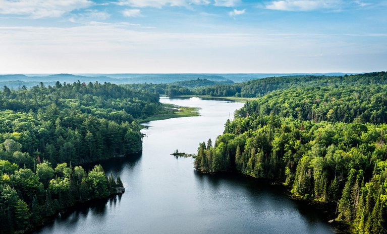 Sanfte Hügel und dichter Wald umgeben einen ruhigen Fluss, hervorgehoben durch klares, sonniges Wetter, zeigt unberührte Natur.