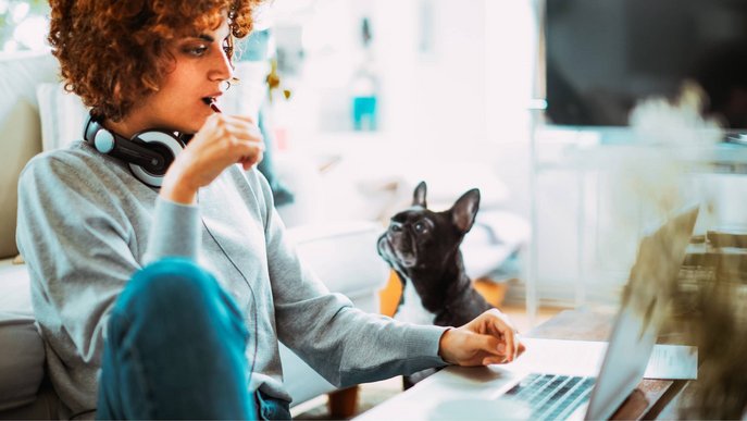 Bild zeigt eine Frau, die mit einem Hund am Laptop sitzt.