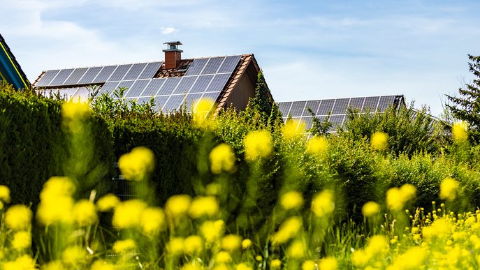 Häuser mit ausgedehnten Solaranlagen bei strahlendem Sonnenschein, zeigt Vorteil größerer Panelgrößen für Kosteneffizienz.