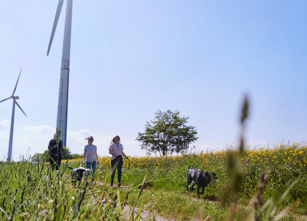 Ökostrom Zertifikate: Menschen und Hunde spazieren an Windrädern vorbei, Symbol für nachhaltige Energie und Umweltschutz.