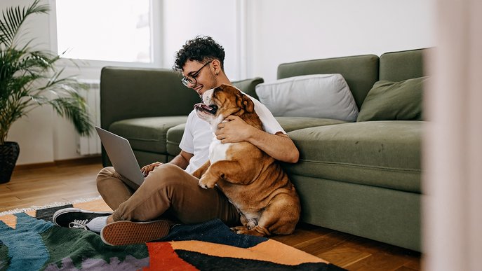Mann sitzt mit Hund auf Teppich, Laptop auf dem Schoß. Symbolisiert Komfort beim Ändern persönlicher Daten bei ENTEGA.