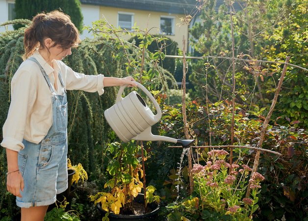 Frau gießt Blumen. Symbol für den CO2-Fußabdruck mit Fokus auf Nachhaltigkeit und ökologische Verantwortung.