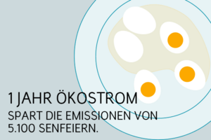 Ökostromanbieter Leipzig: Ein Jahr Ökostrom spart Emissionen von 5.100 Senfeiern