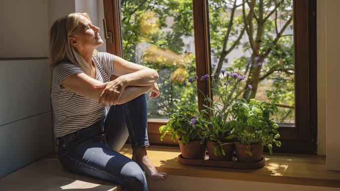 Person genießt Sonnenstrahlen durch das offene Fenster, neben ihr blühende Pflanzen, sommerliche Atmosphäre.