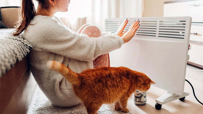 Frau wärmt Hände an Elektroheizung, Katze daneben; Thema: Elektroheizung Kosten im gemütlichen Wohnumfeld.