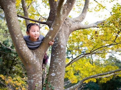 ind umarmt Astgabel eines Baums im herbstlichen Wald; Energuequellen der Zukunft betonen Naturverbundenheit und Nachhaltigkeit.