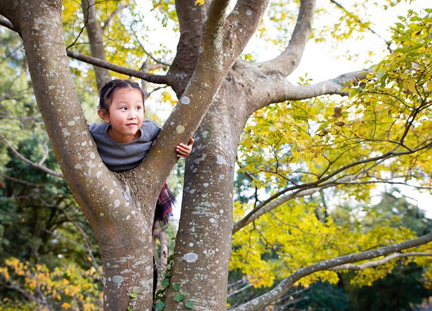 ind umarmt Astgabel eines Baums im herbstlichen Wald; Energuequellen der Zukunft betonen Naturverbundenheit und Nachhaltigkeit.