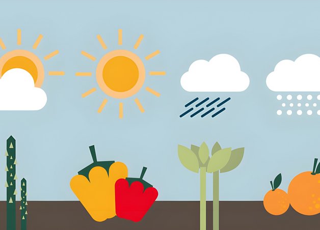 Saisonkalender-Grafik mit Spargel, Paprika und Obst. Wetter-Icons zeigen passende Jahreszeiten für Anbau und Ernte.