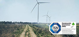 Günstiger, TÜV-zertifizierter Ökostrom aus erneuerbaren Energiequellen wie Windrädern
