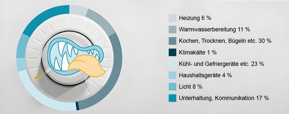 Infografik zeigt prozentuale Angaben zum Stromverbrauch typischer Haushaltsgeräte wie Fernseher, Kochherd und Waschmaschine und veranschaulicht, welche Geräte am meisten Strom verbrauchen.