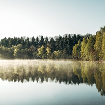 Bäume spiegeln sich im klaren Wasser, umgeben von leichtem Nebel, vermittelt Ruhe und natürliche Schönheit.
