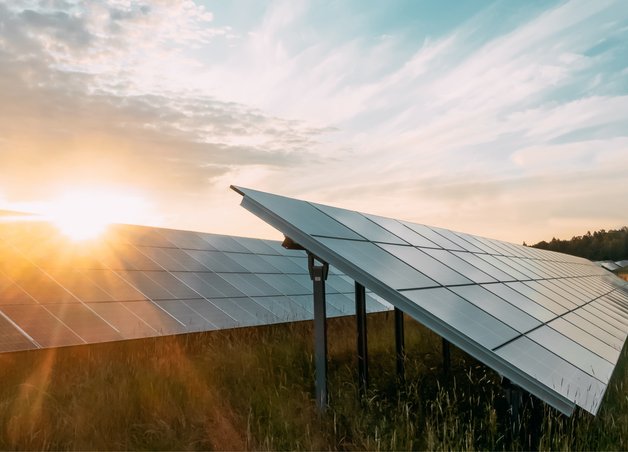 Bild zu den Erneuerbaren Energien in Deutschland: Solarmodule im Sonnenlicht