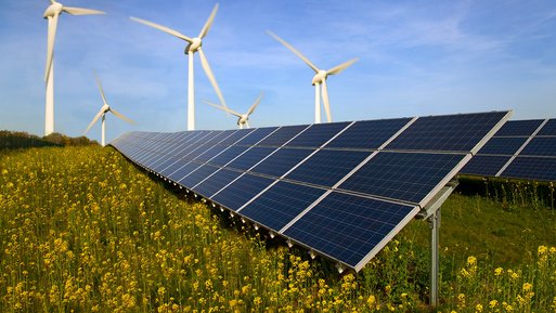 Solar- und Windenergieanlagen auf blühendem Feld.