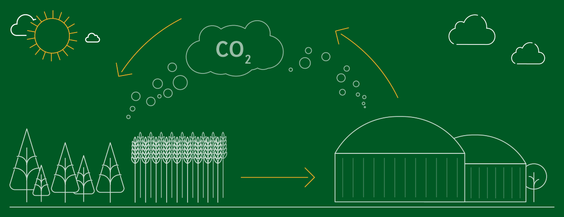 Klimagas und Biogas: Was ist der Unterschied?