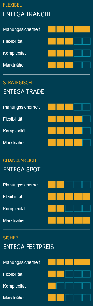 Industriekunden-Strom: Strukturierte Beschaffungsmodelle