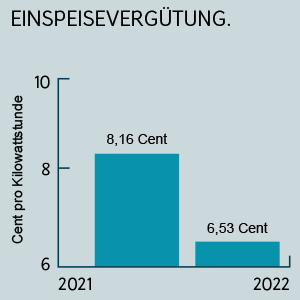 Photovoltaik-Preise: Einspeisevergütung